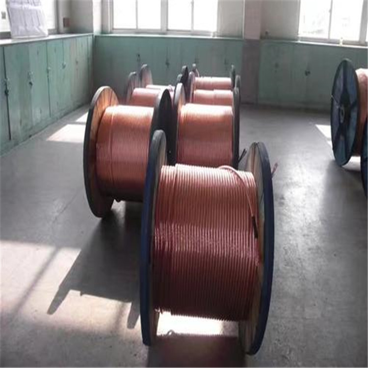 敦煌县120平方紫铜编织线欢迎来到厂家订货