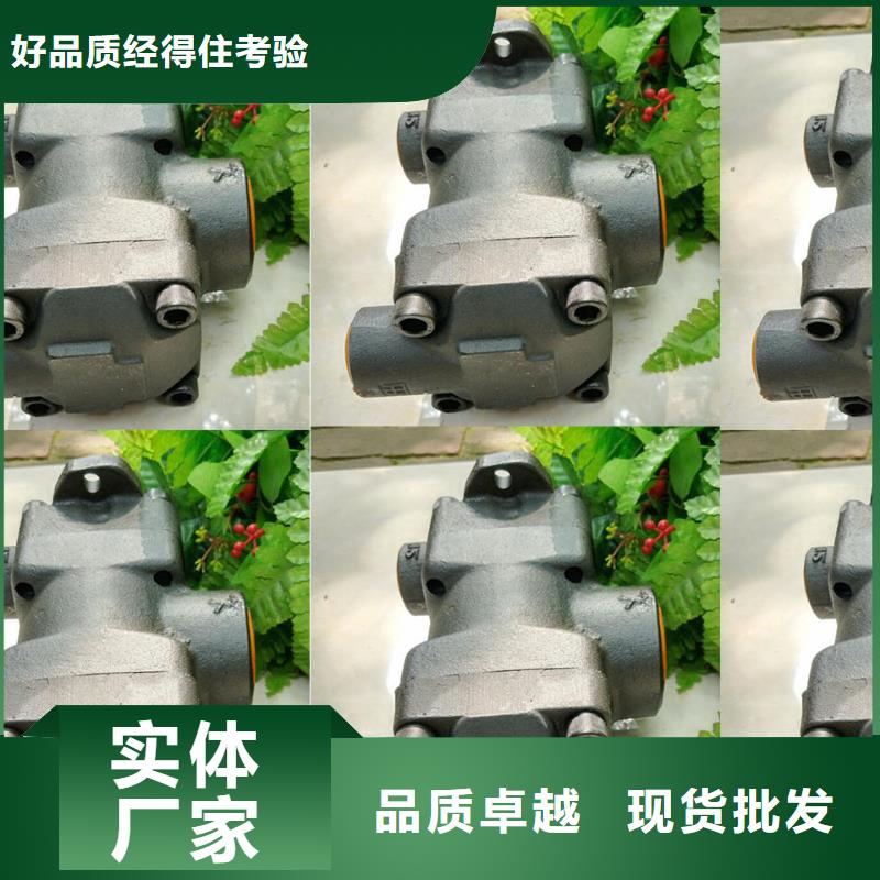 黑龙江PVV51-1X/193-027RA15UUMC叶片泵