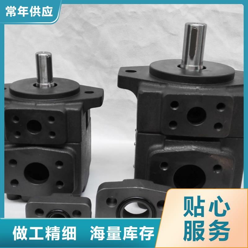 晋城PVV21-1X/045-040LA15UUMB叶片泵