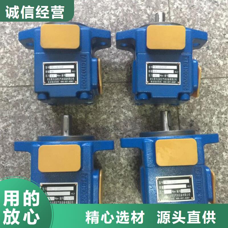 PVV54-1X/154-113RJ15UUMC液压泵