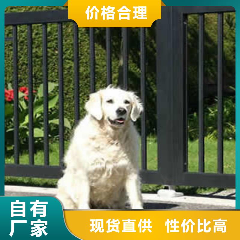 锌钢护栏厂家直销生产厂家直供