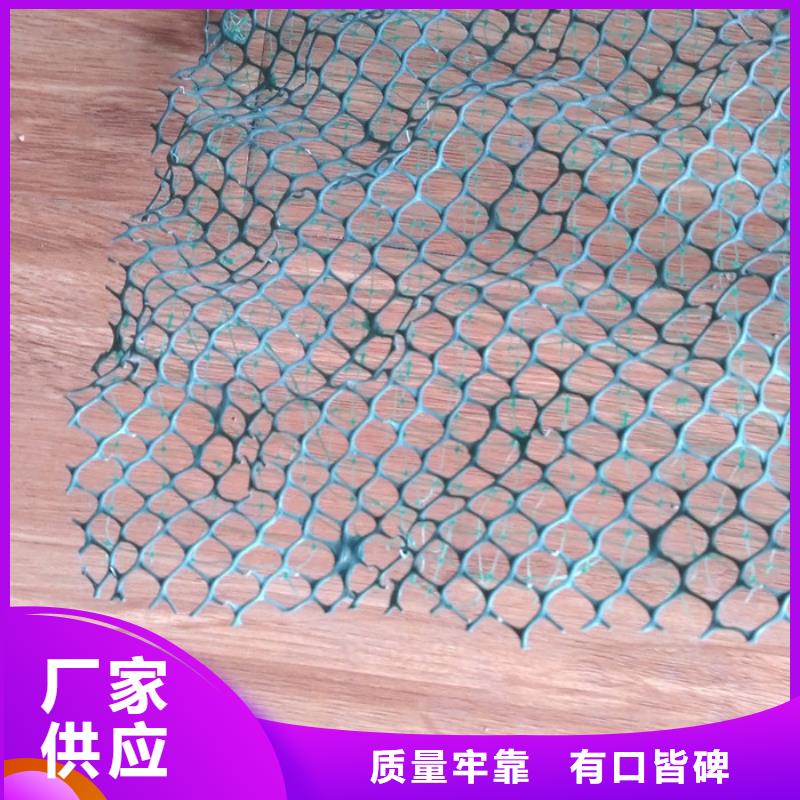 植草网专业生产厂家