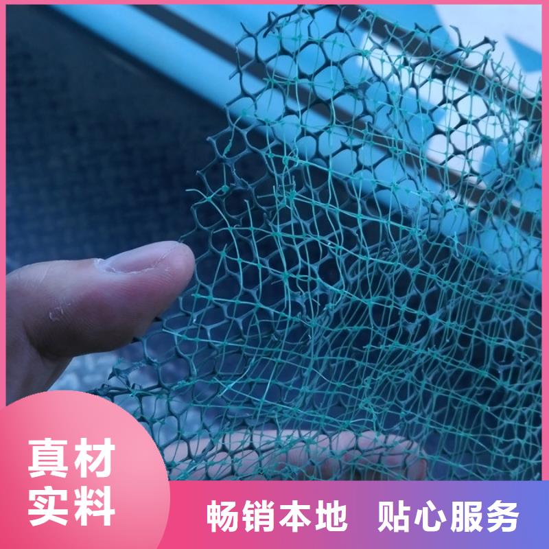 三维网植草价格优惠