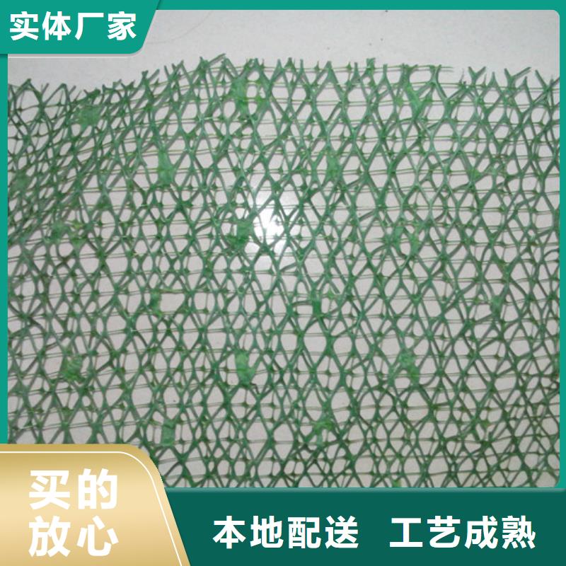三维植被网质量过硬