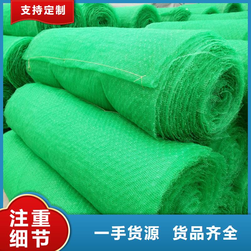 三维网植草价格今日行情
