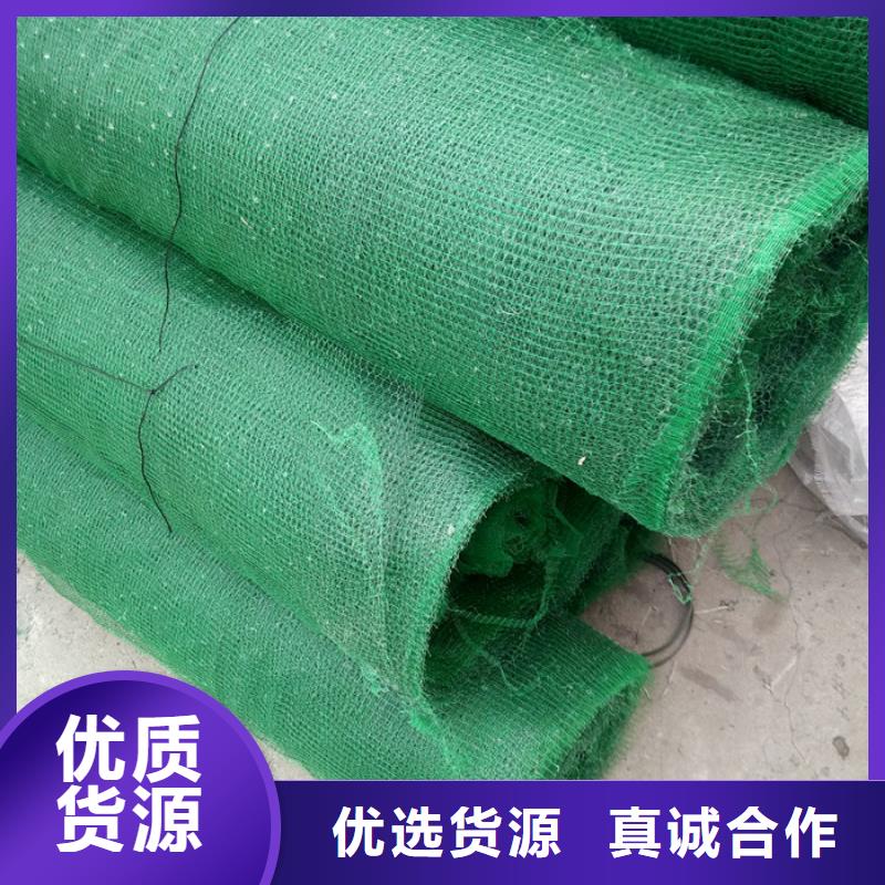 三维网优质厂家