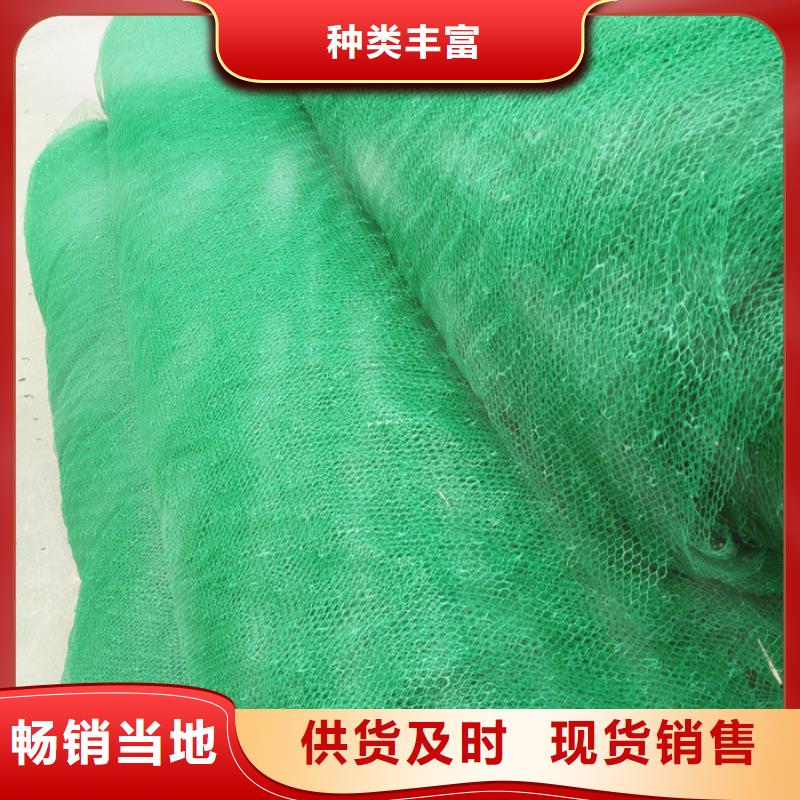 三维土工网垫规格齐全