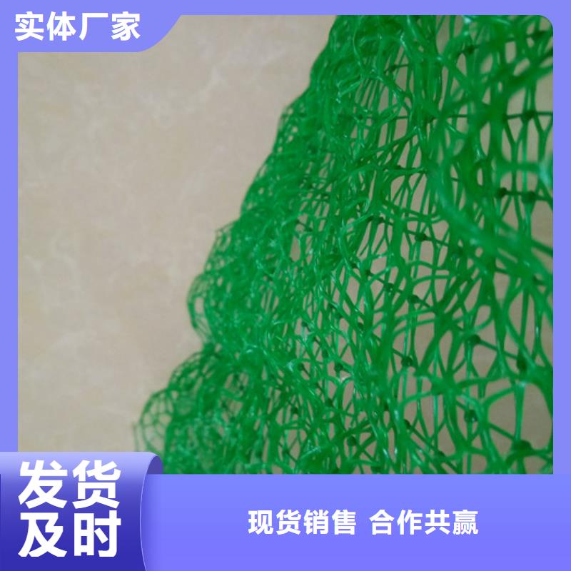 资讯：三维护坡网【价格低廉】
