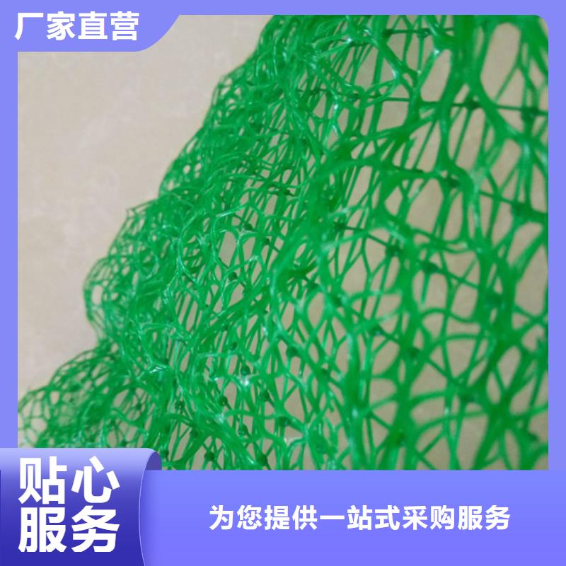 三维网植草优质供应商