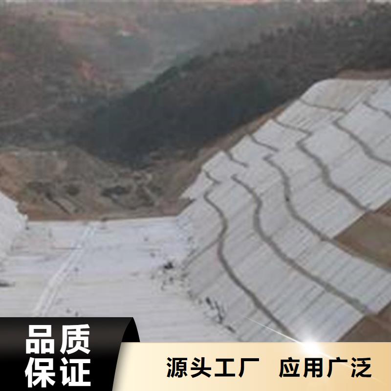 新闻：300g一布一膜有库存么