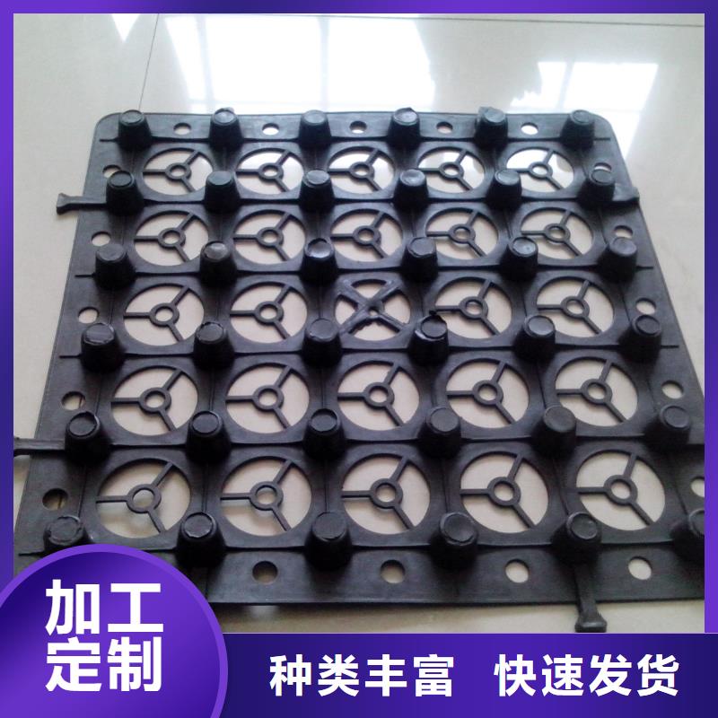 排蓄水板价格欢迎点击