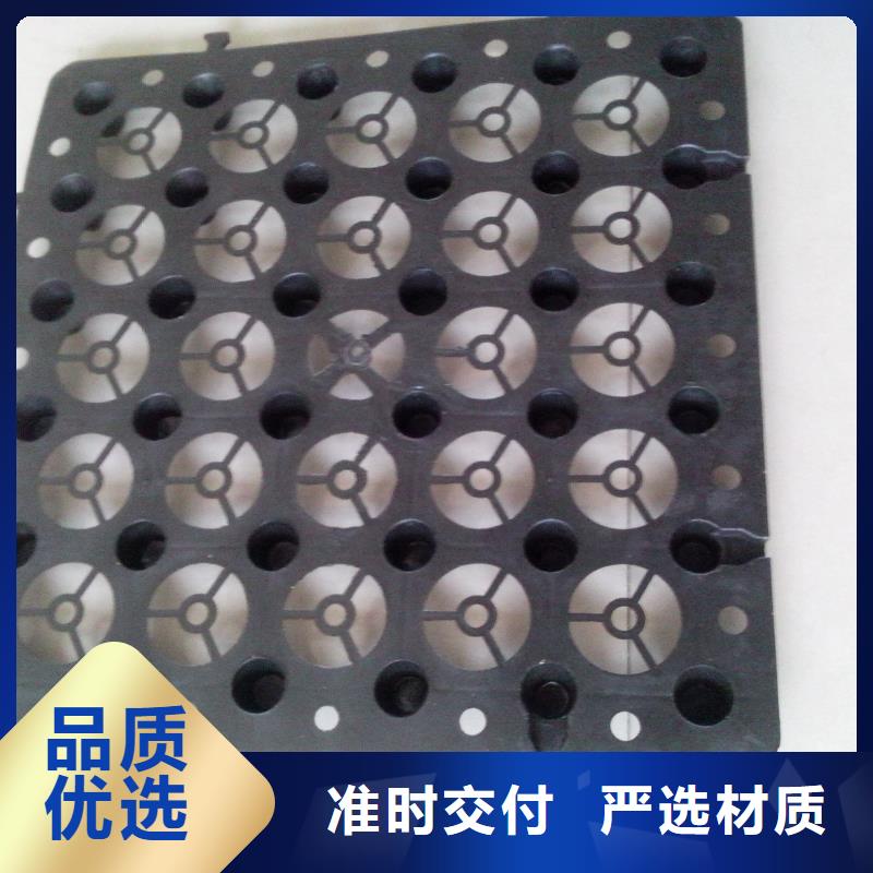 排蓄水板价格欢迎点击