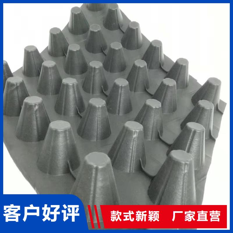 ped14高分子防护排水异形片价格优惠