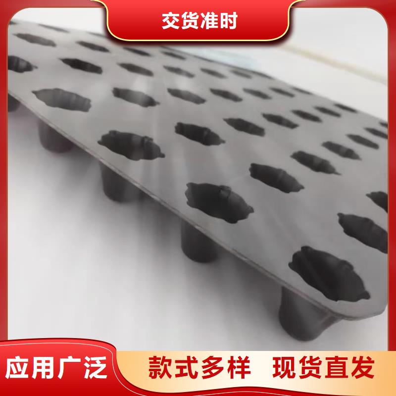 pe排水板专业生产厂家