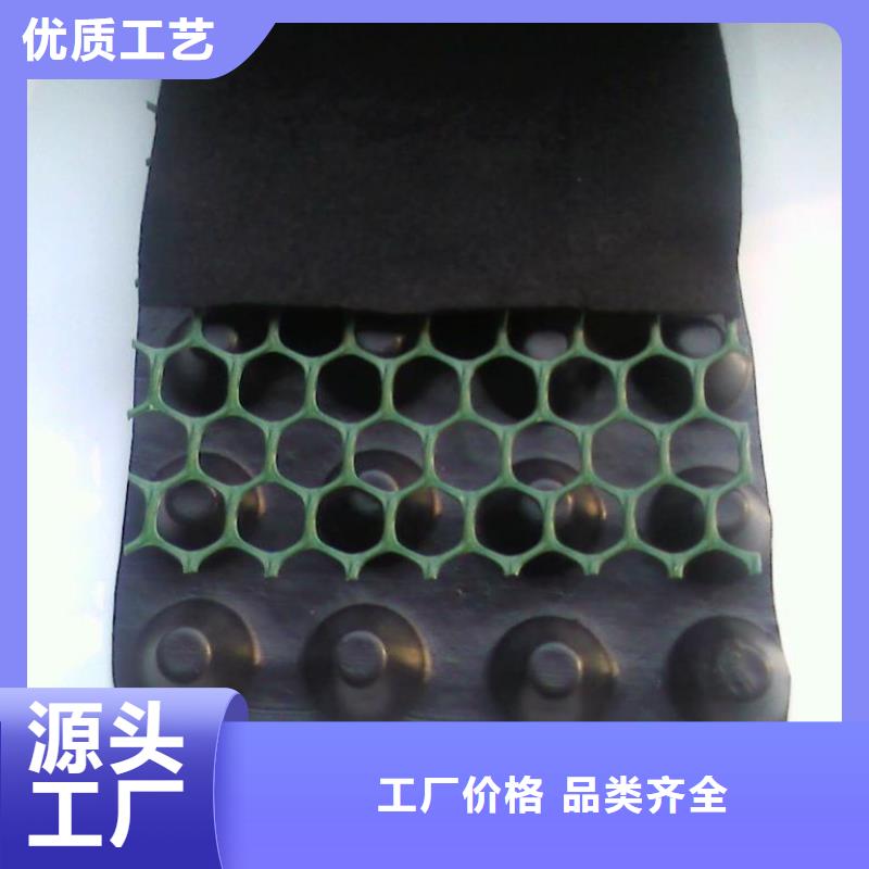 ped14高分子防护排水异形片价格优惠