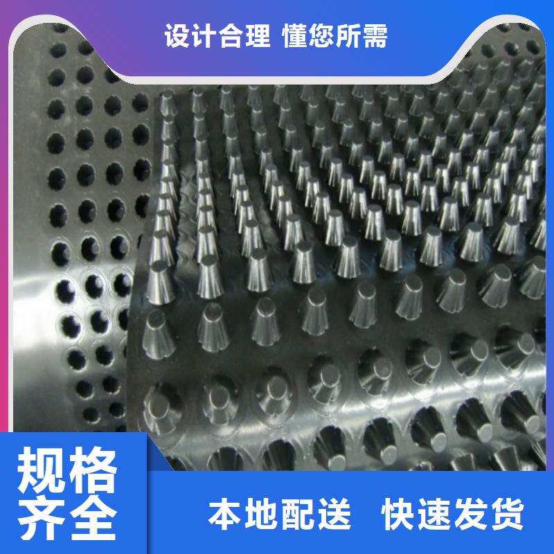 排蓄水板价格欢迎点击