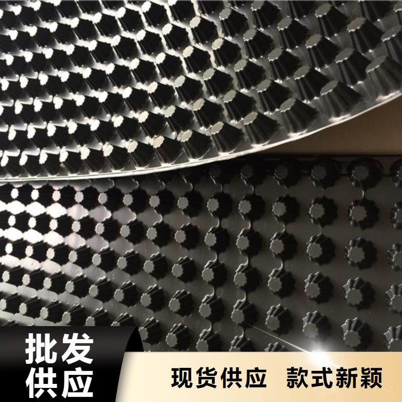 pe排水板专业生产厂家