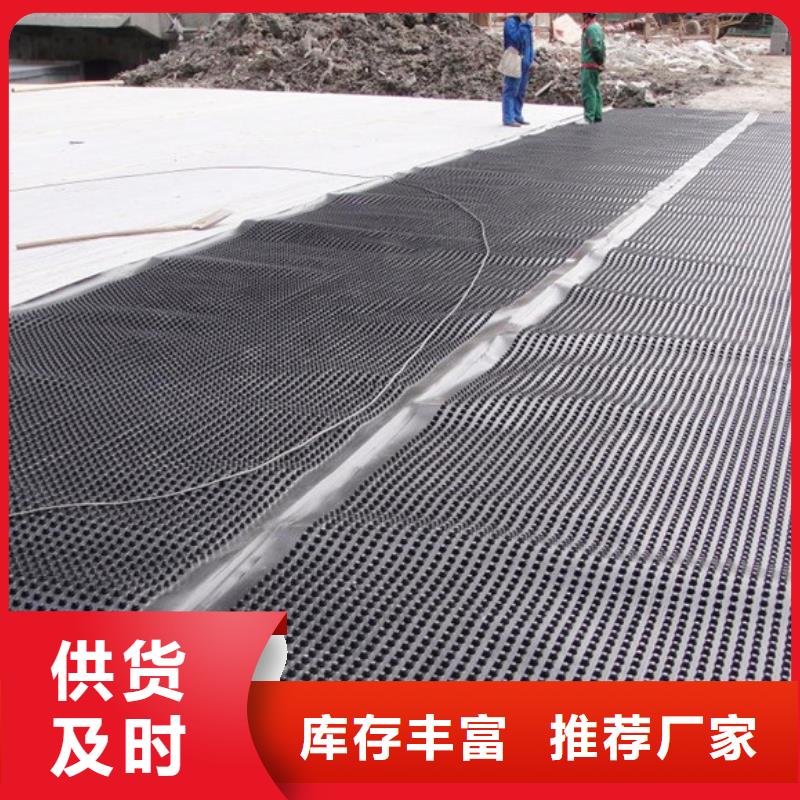 ped14高分子防护排水异形片价格优惠