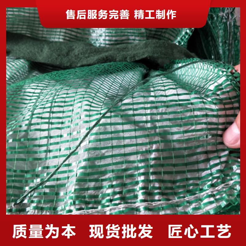 土工格栅现货