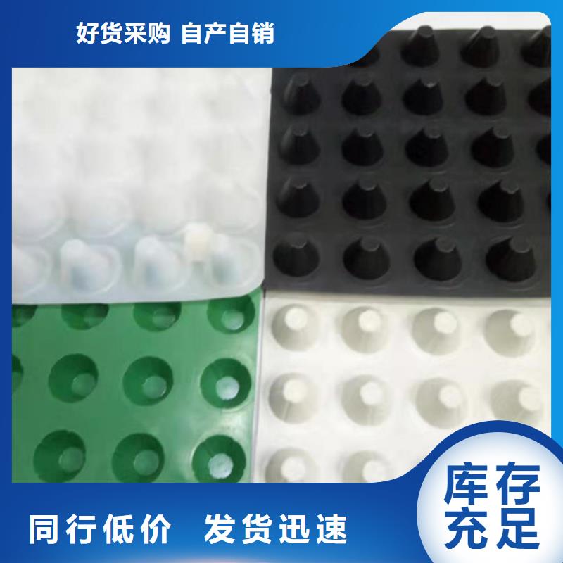 塑料格栅现货