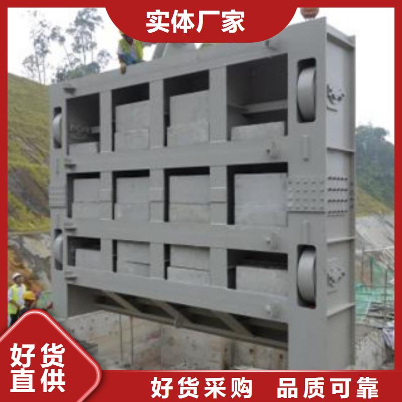 耐腐蚀钢制闸门