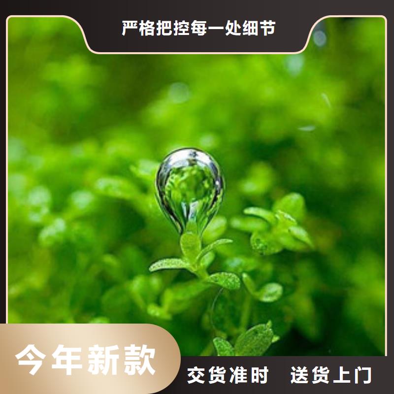 无醇植物油燃料厂家