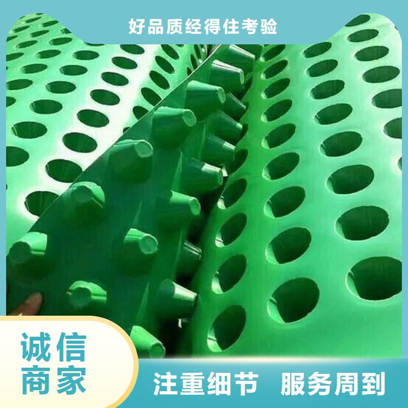 排水板价格