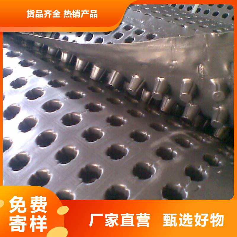 排水板价格