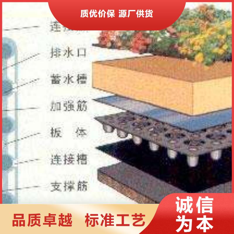 排水板哪里好