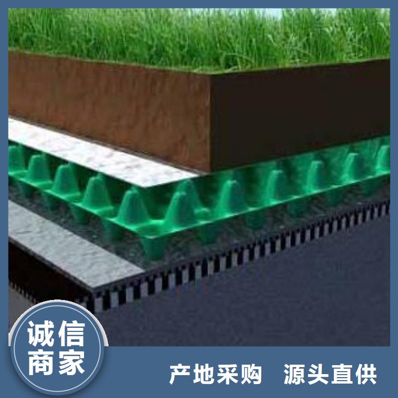 排水板哪里好