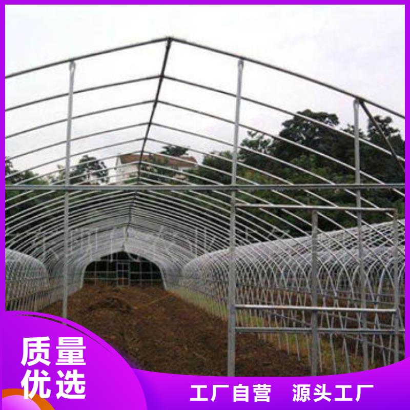 日光温室规格型号齐全
