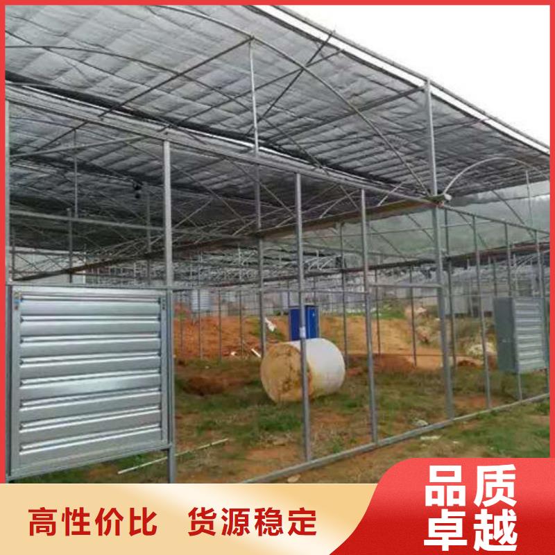 安装搭建大棚膜价格合理