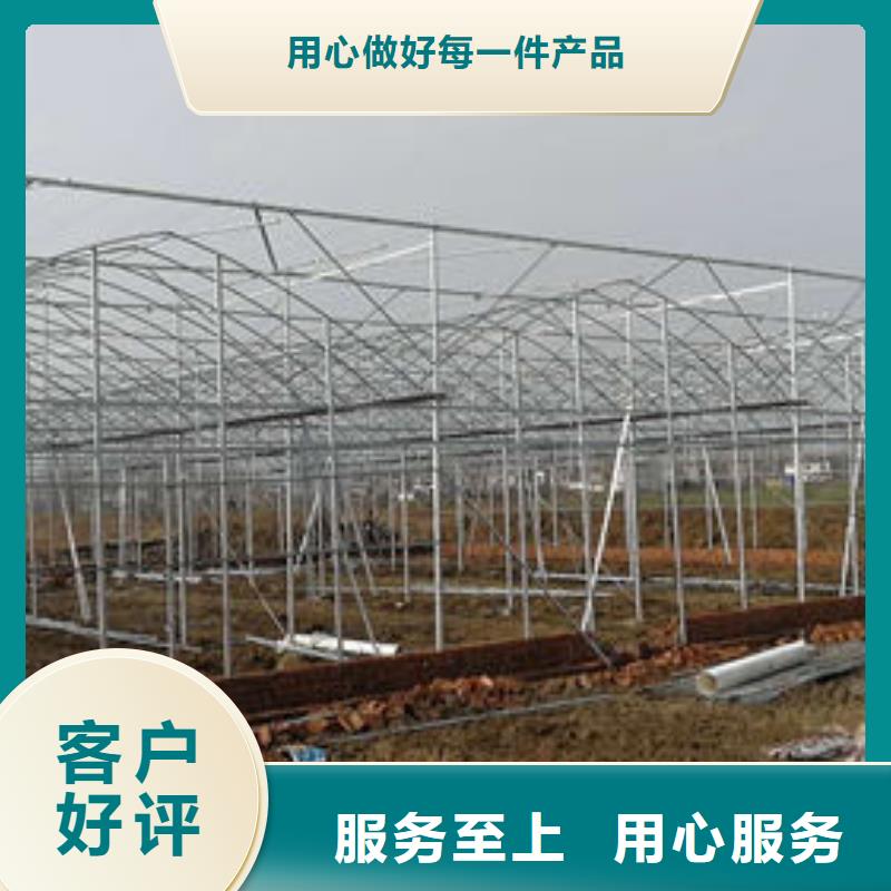 制造春秋拱棚施工现场