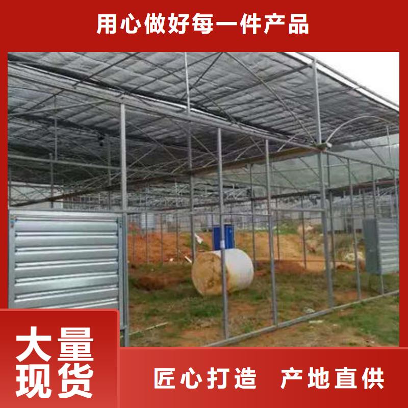 联动大棚批发规格型号全