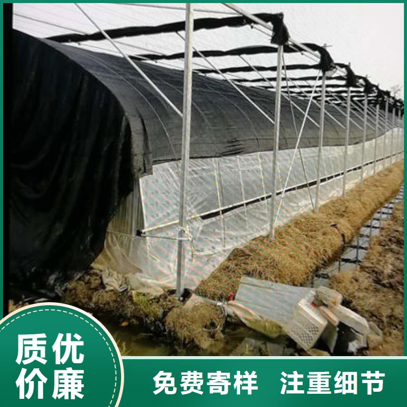 定制薄膜大棚建造厂家同城生产商