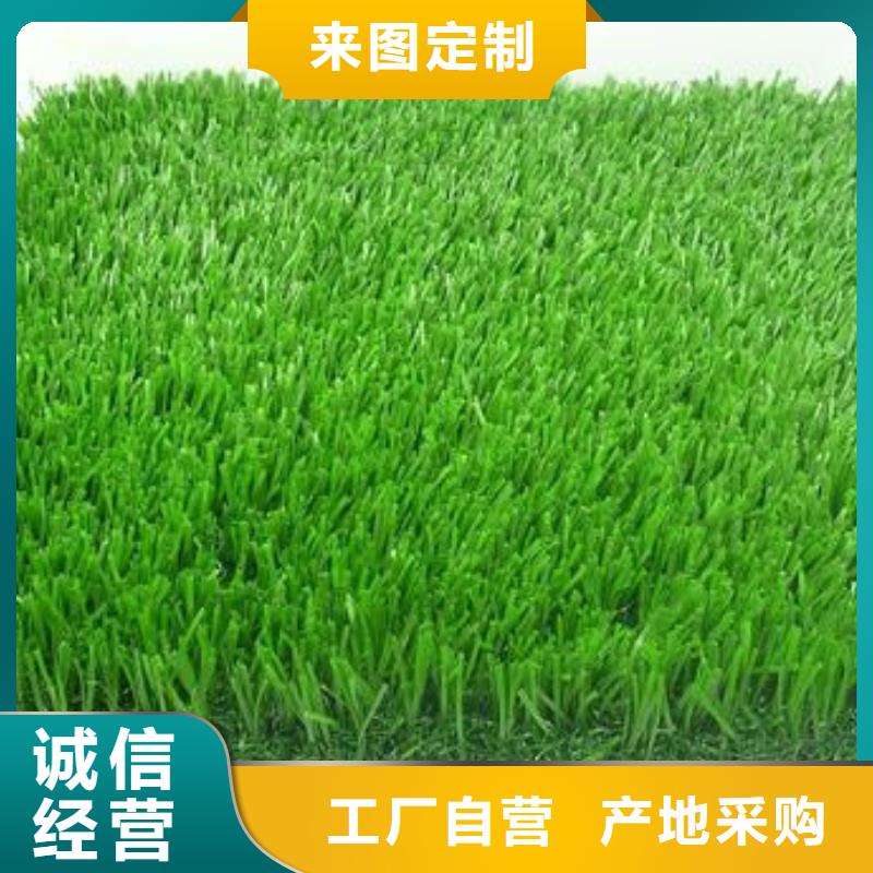 人造草皮