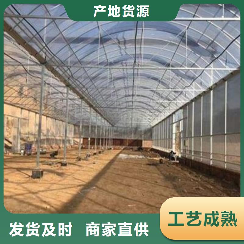 高唐县蔬菜大棚规格表当地生产厂家
