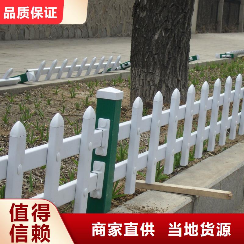 供应福建绿化带锌钢草坪护栏 广场花圃围栏