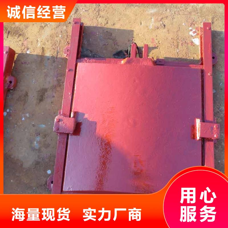 陇南铸铁机闸一体闸门